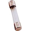COLE HERSEE 6A AGC Glass Fuses, 5-Pack