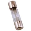COLE HERSEE 30A AGC Glass Fuses, 5-Pack