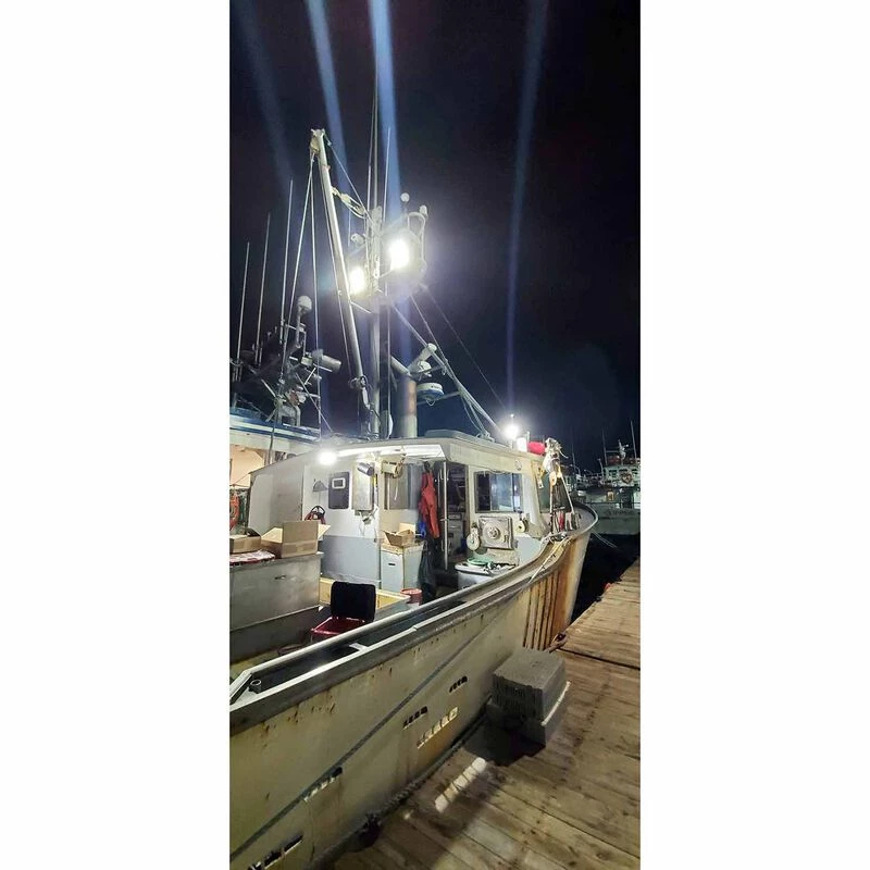 DURABRITE Standard Series Floodlight, White Housing 3 DURABRITE Standard Series Floodlight, White Housing - Image 3